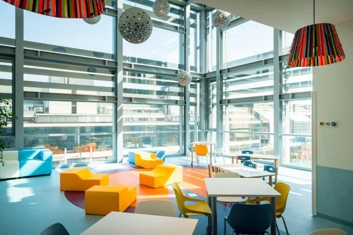 Fondazione Vidas