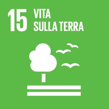 Impatti generati nel 2023