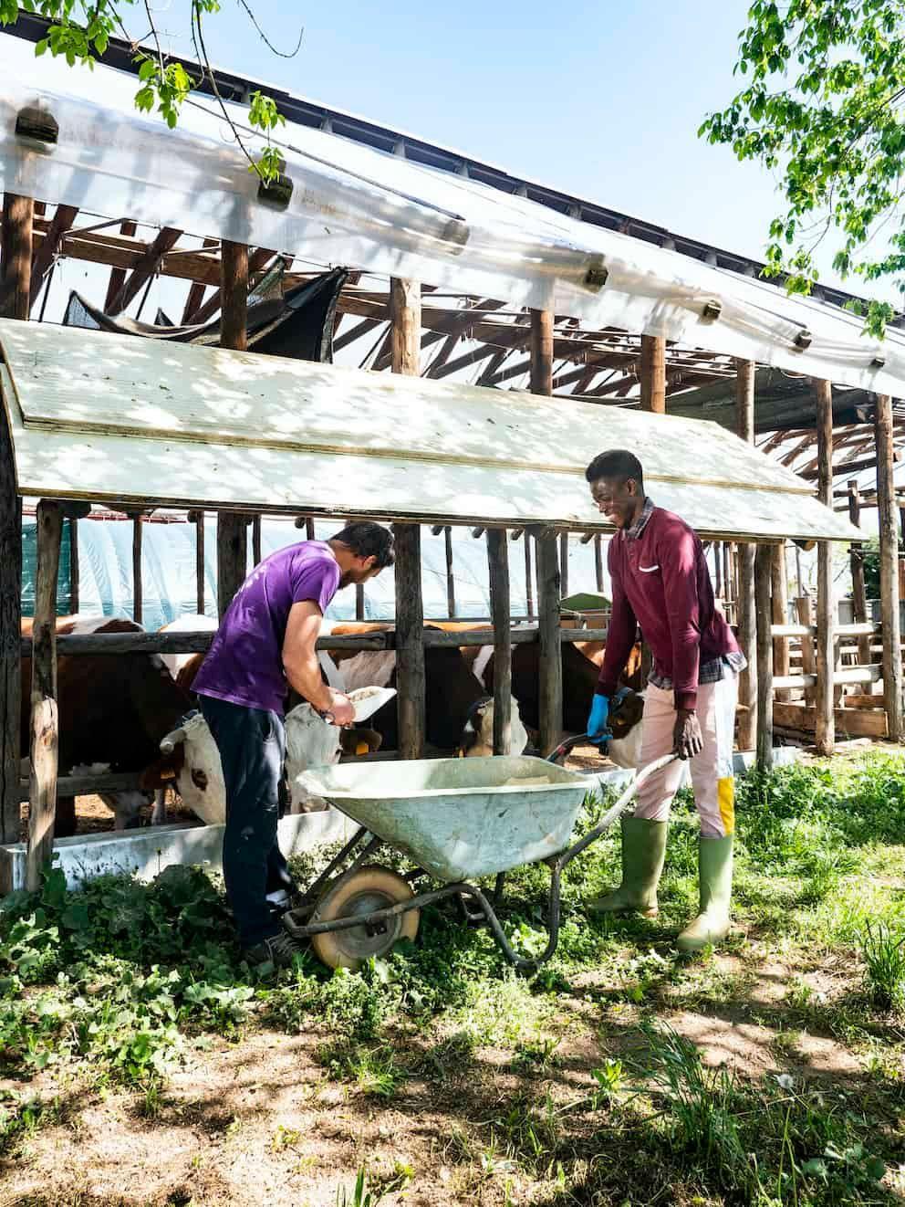 I Tesori della Terra Società Cooperativa Agricola Sociale ONLUS