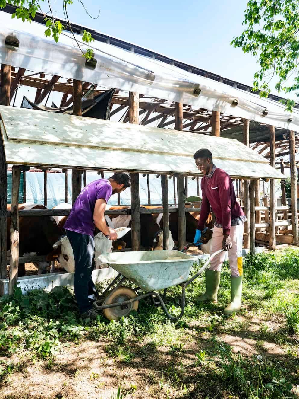 tesori della terra.jpg